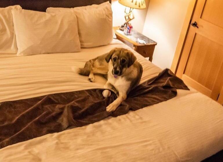 스탠다드 룸, Twisp River Suites