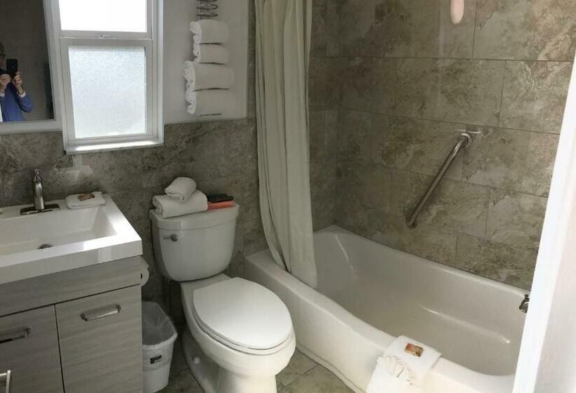Номер Стандарт 2 Двуспальные Кровати, Carlton House Motel And Suites