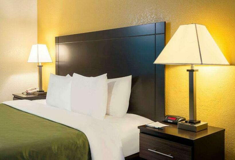 Стандартный Номер Кровать Кинг, Quality Inn At Arlington Highlands