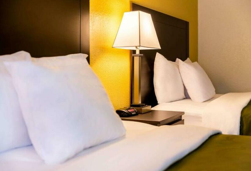 Номер Стандарт 2 Двуспальные Кровати, Quality Inn At Arlington Highlands