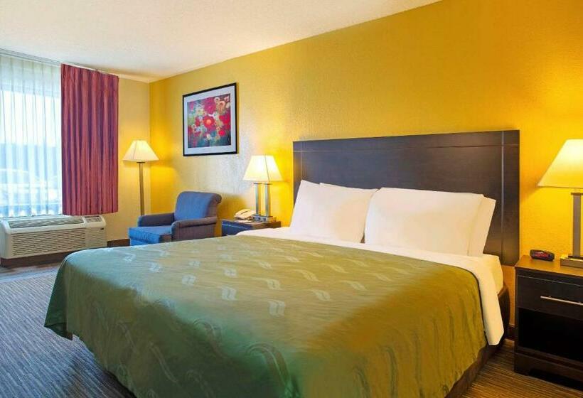 Стандартный Номер Кровать Кинг, Quality Inn At Arlington Highlands