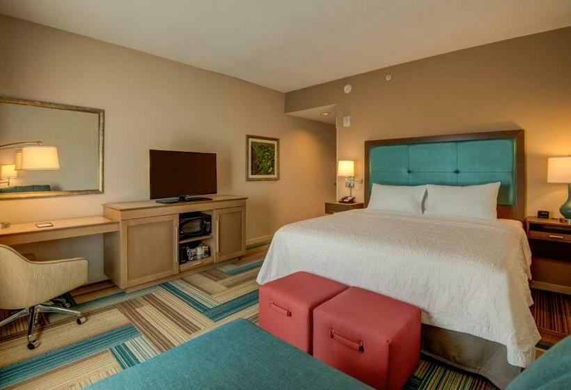 스탠다드 룸 킹사이즈 침대, Hampton Inn By Hilton Plant City