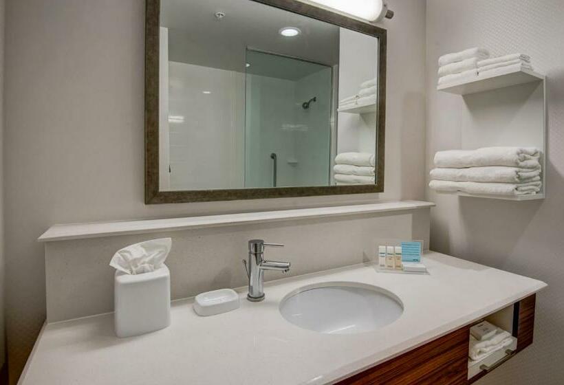 장애인을 위한 킹사이즈 침대 스탠다드 룸, Hampton Inn By Hilton Plant City