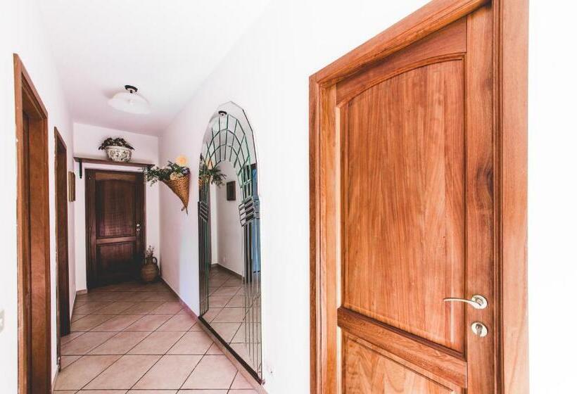 经典工作室, Casa Papiro