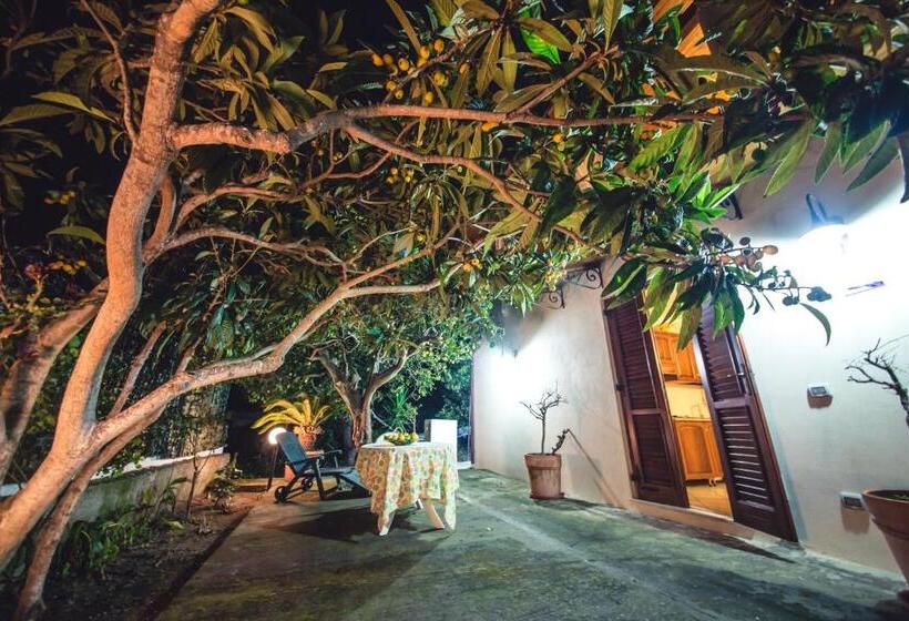 آپارتمان خانوادگی, Casa Papiro