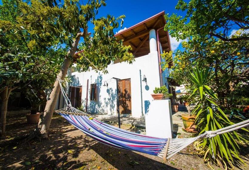 آپارتمان خانوادگی, Casa Papiro