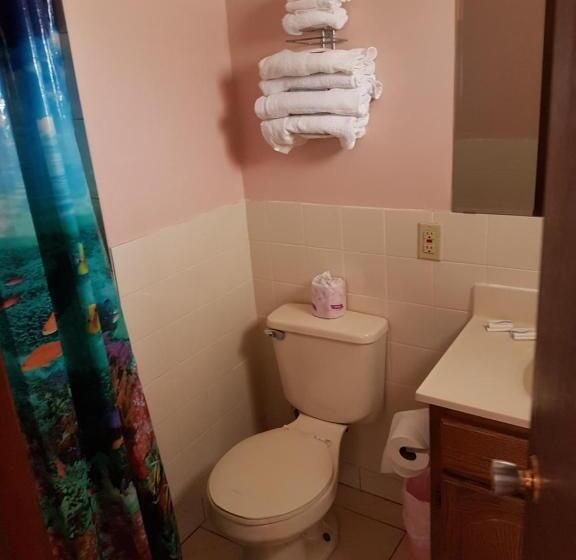 经济房, Lakeview Resort Motel