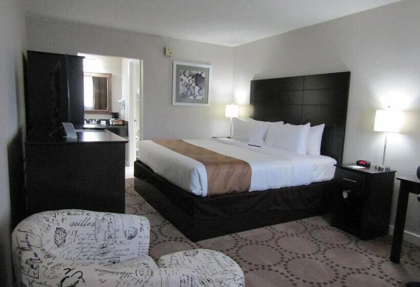 Стандартный Номер Кровать Кинг, Quality Inn & Suites Kissimmee By The Lake