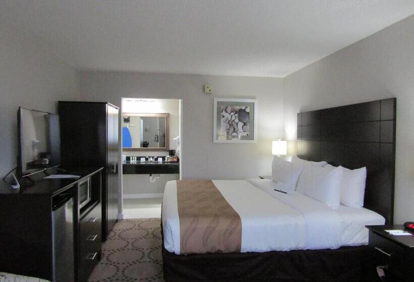 Стандартный Номер Кровать Кинг, Quality Inn & Suites Kissimmee By The Lake