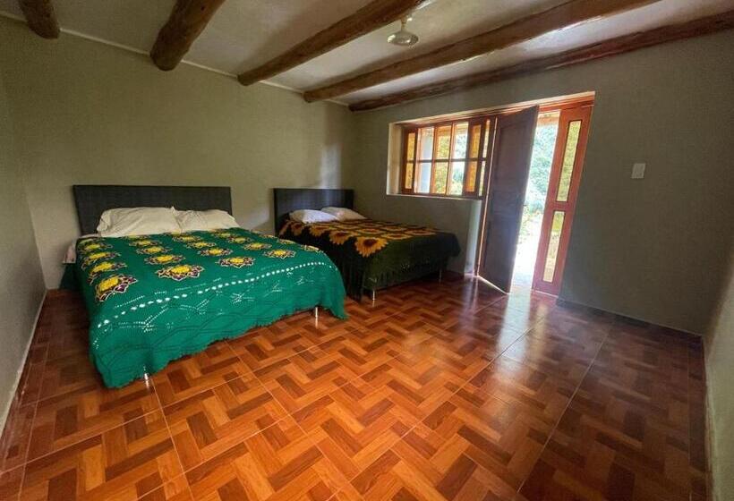 스탠다드 룸, Albergue Casa De Piedra   Vaquería