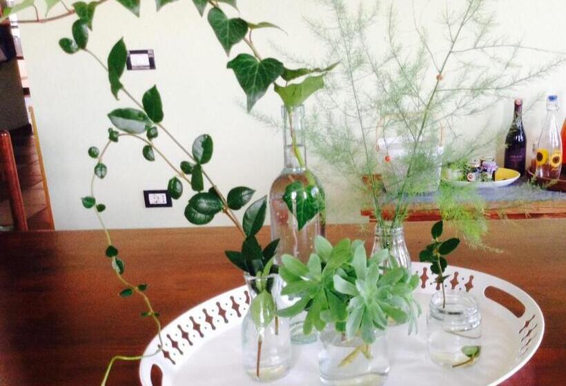 家庭工作室, Villa Mugs