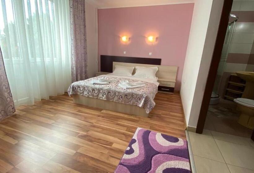 Номер Стандарт, Vila Roxana