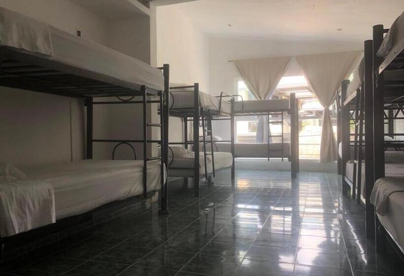 ルームシェアのワンベッド, Emotion Avenida Tulum Hotel & Hostal