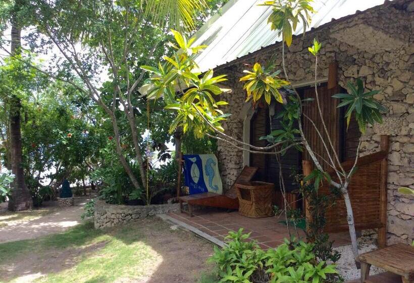 Бунгало Стандарт, Ravenala Beach Bungalows