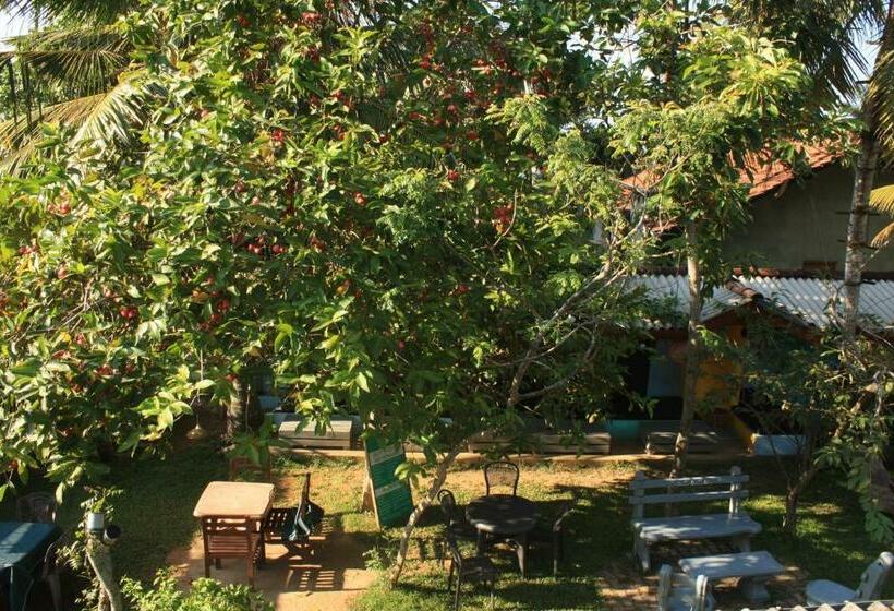 Номер Стандарт, Plantation Surf Inn & Restaurant