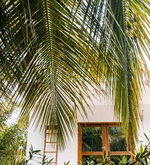 Бунгало Superior, White Paradise Zanzibar