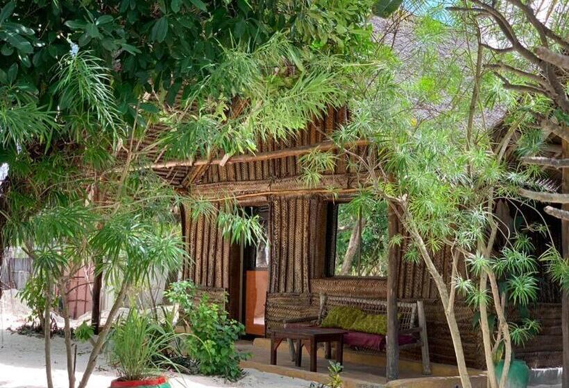 패밀리 룸, Summer Dream Lodge