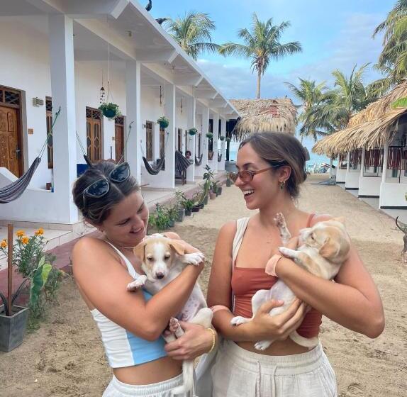Номер Стандарт Трехместный, No Name Beach Resort