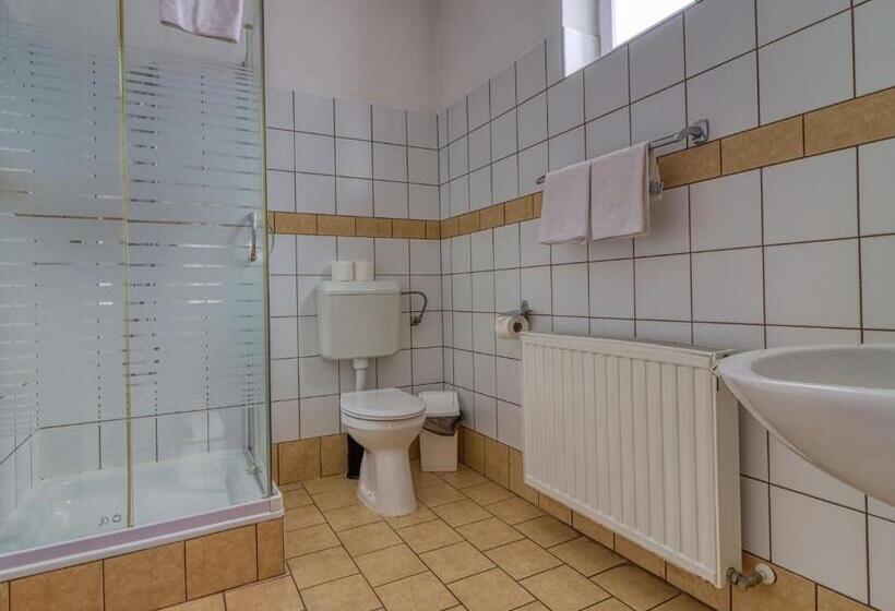 Апартаменты 1 Спальня Нижний Этаж, Villa Park Apartmanház