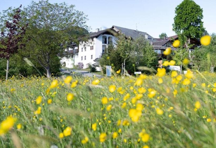 1 Bedroom Apartment Lake View, Pension Hanslmann
