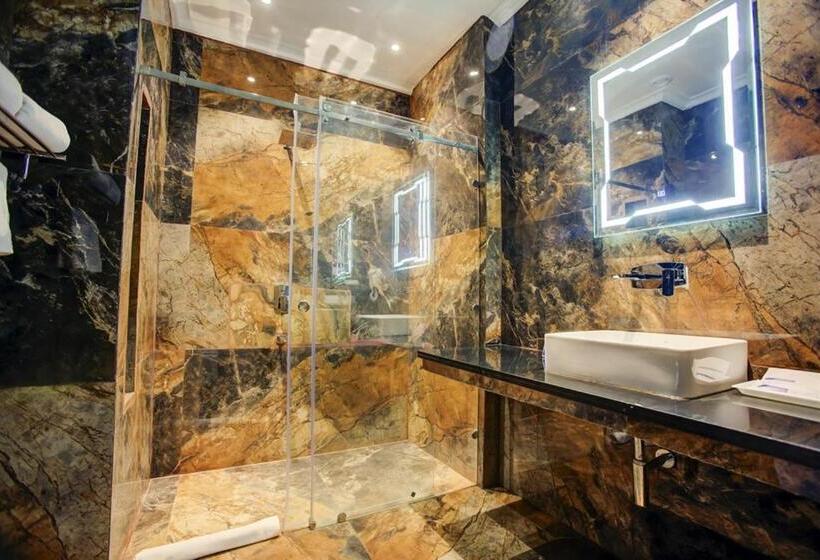 Номер Deluxe, Sarovar Portico Saharanpur