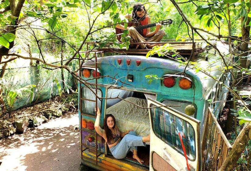 스탠다드 트리플 룸 가든 전망, Rainbow Caravan Hostel