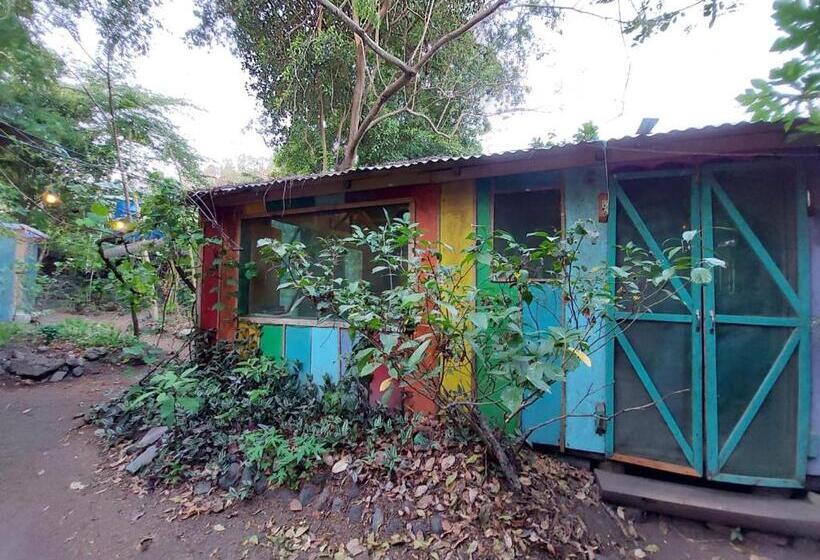 공동 객실, Rainbow Caravan Hostel