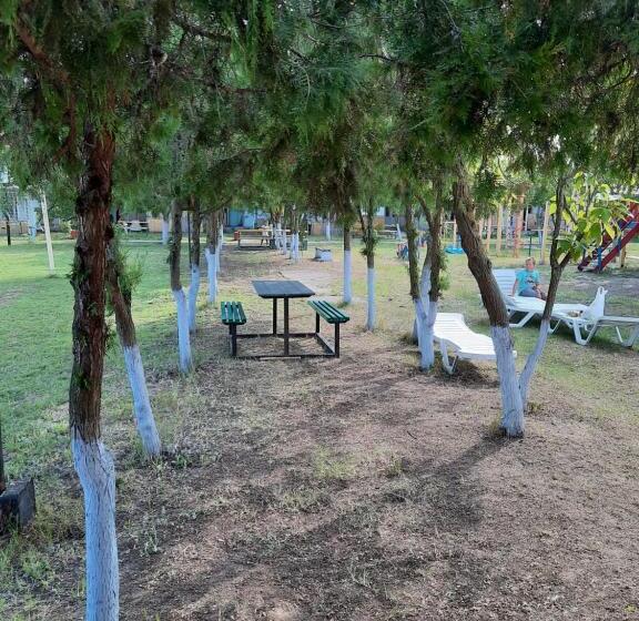 Номер Стандарт, база відпочінку мегапарус