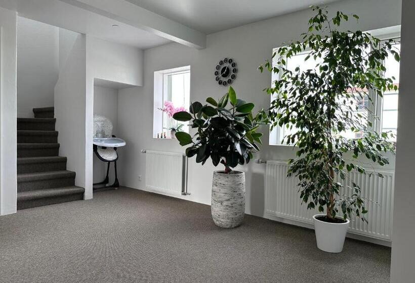 اتاق استاندارد با سرویس بهداشتی مشترک, Guesthouse Dyngja
