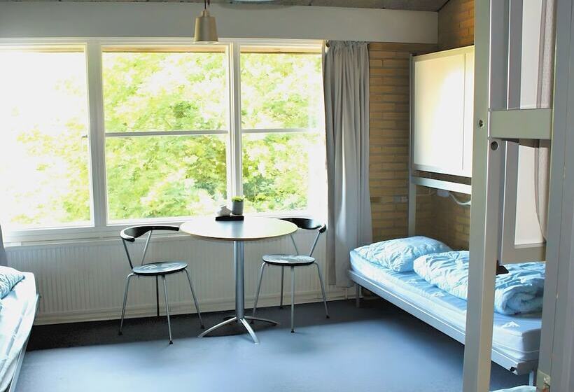 غرفة قياسية, Danhostel Horsens
