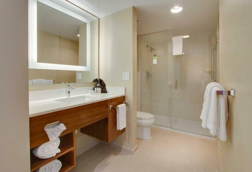 Люкс, Springhill Suites By Marriott Orlando Lake Buena Vista South
