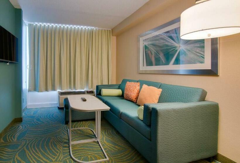 Люкс, Springhill Suites By Marriott Orlando Lake Buena Vista South