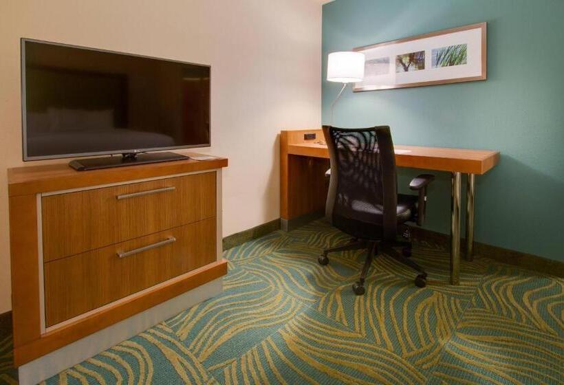 Студио Стандарт Кровать Кинг, Springhill Suites By Marriott Orlando Lake Buena Vista South