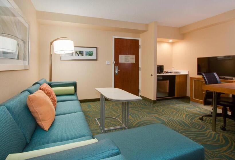 Студио Стандарт Кровать Кинг, Springhill Suites By Marriott Orlando Lake Buena Vista South