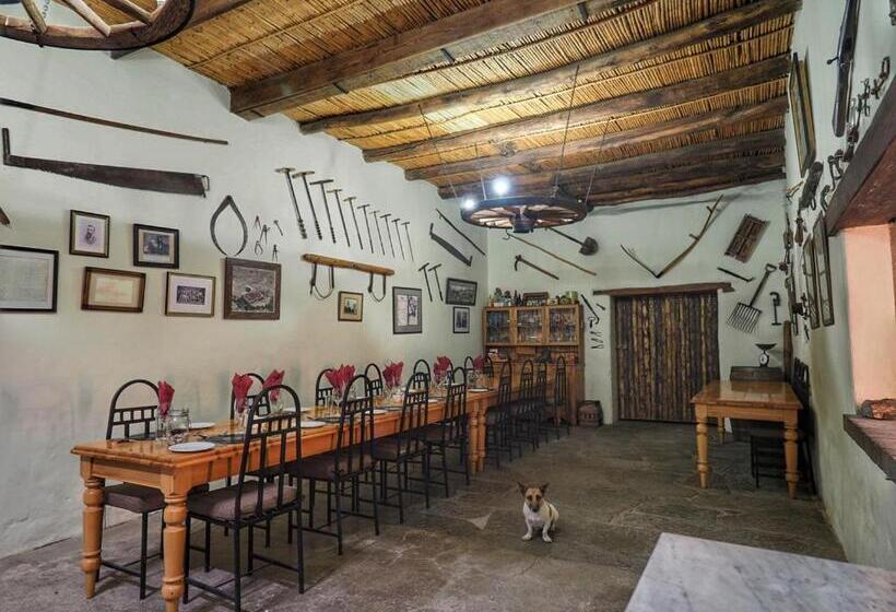 Номер Стандарт, Ganora Guest Farm, Camping And Excursions