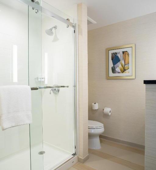 Номер Стандарт 2 Двуспальные Кровати, Fairfield Inn & Suites By Marriott New York Queens/fresh Meadows