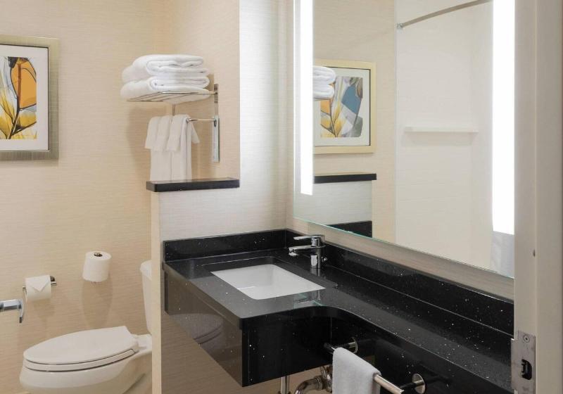 Люкс Кровать Кинг, Fairfield Inn & Suites By Marriott New York Queens/fresh Meadows