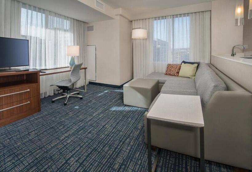 带大床的套房, Residence Inn By Marriott Baltimore At The Johns Hopkins Medical Campus