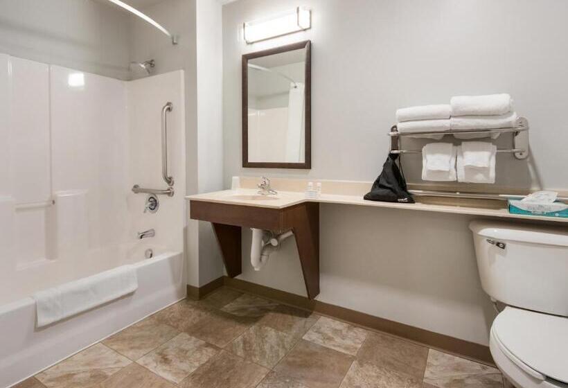 Номер Стандарт Адаптированный для Инвалидов, My Place Hotel   Atlanta West I 20/lithia Springs, Ga