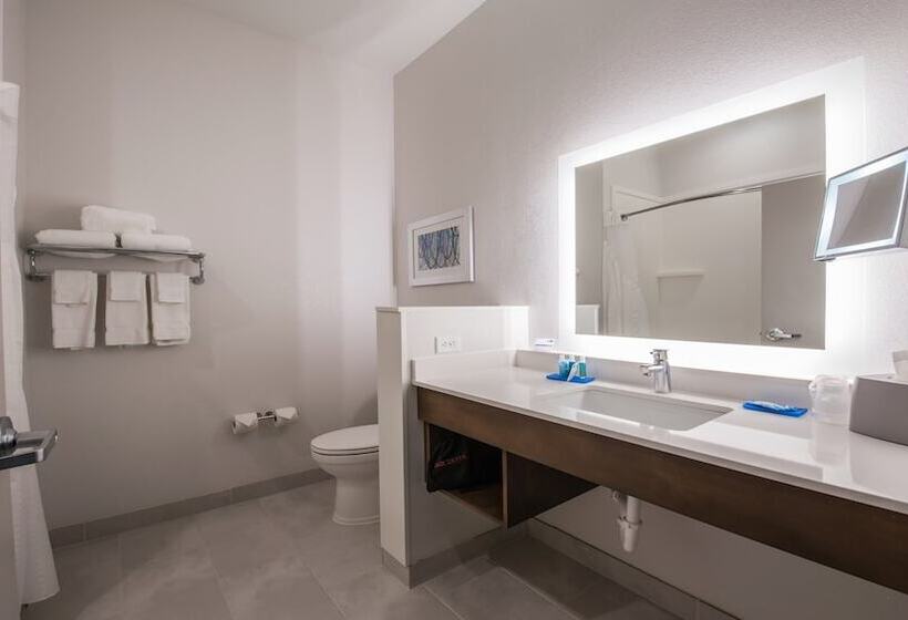 Номер Стандарт, Holiday Inn Express & Suites   Dripping Springs   Austin Area, An Ihg