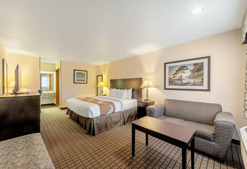 Номер Deluxe Кровать Кинг, Quality Inn
