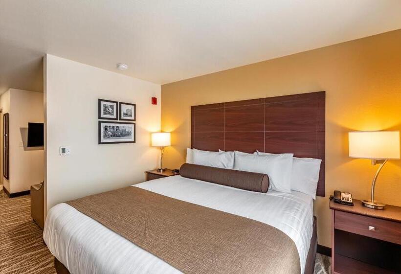 스탠다드 스튜디오, Cobblestone Hotel & Suites   Stevens Point