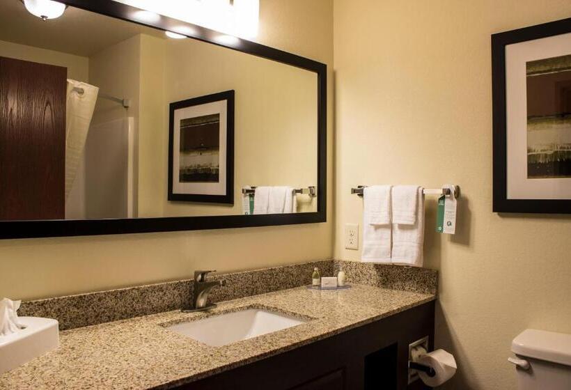 스위트, Cobblestone Hotel & Suites   Stevens Point