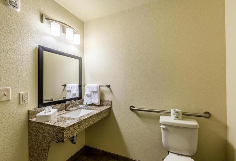 장애인을 위한 킹사이즈 침대 스탠다드 룸, Cobblestone Hotel & Suites   Stevens Point