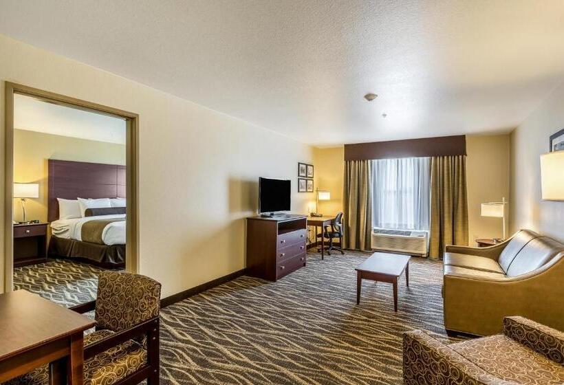 스위트 킹사이즈 침대, Cobblestone Hotel & Suites   Stevens Point