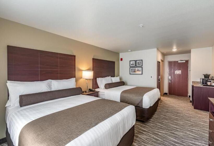 장애인을 위한 스탠다드 룸, Cobblestone Hotel & Suites   Stevens Point