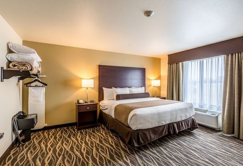 스위트, Cobblestone Hotel & Suites   Stevens Point