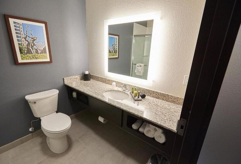 Студио Стандарт Кровать Кинг, Gundersen Hotel & Suites