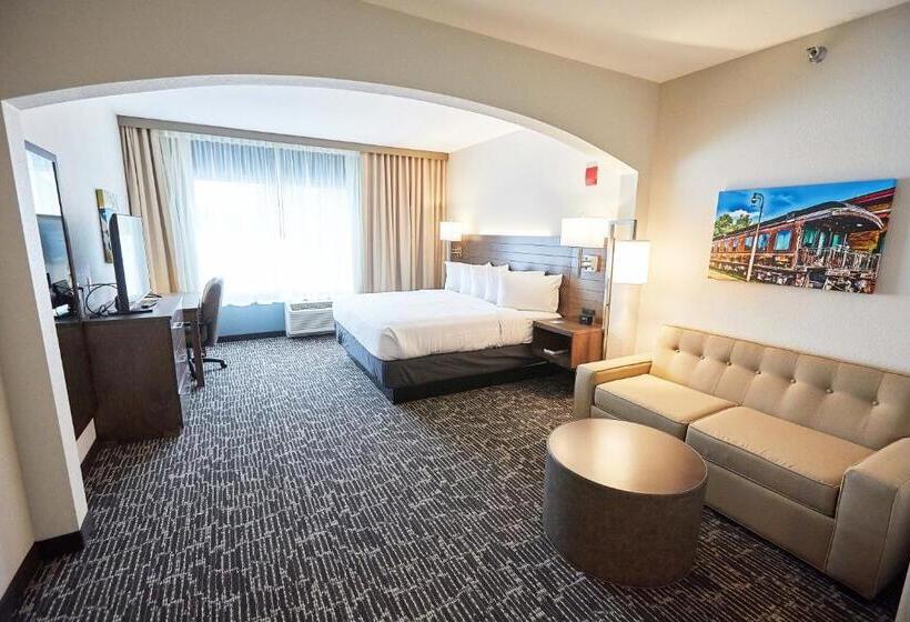 סטודיו סטנדרט, מיטה זוגית, Gundersen Hotel & Suites
