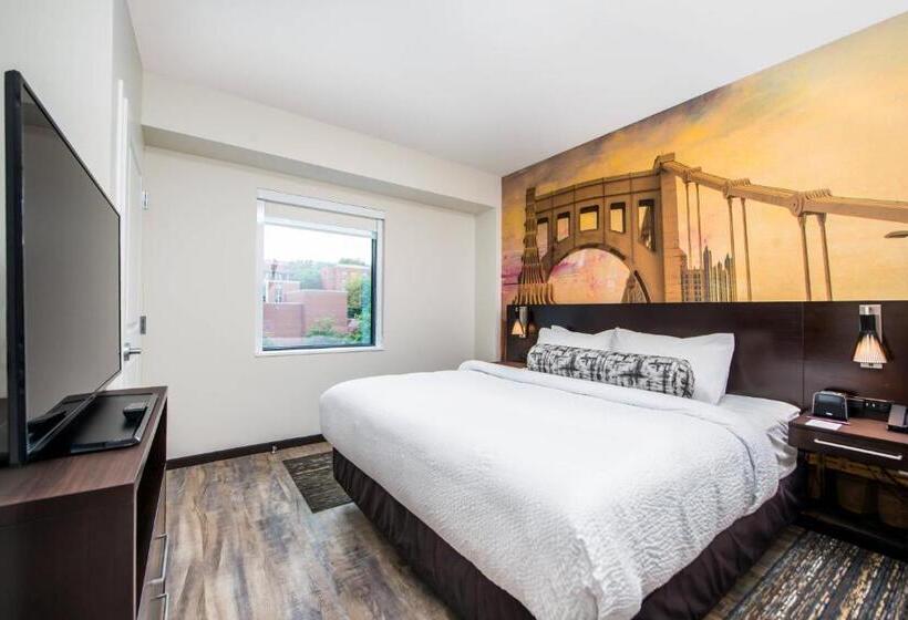 带大床的套房, Residence Inn By Marriott Pittsburgh Oakland/university Place